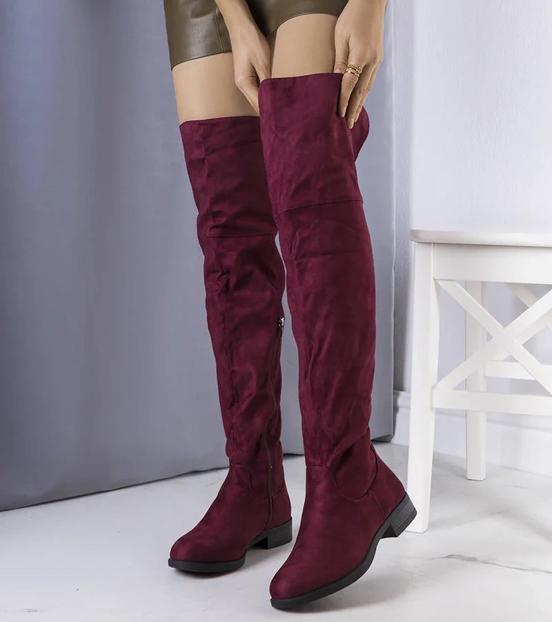 Bordové izolované motýliky Salci